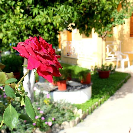 Rantos Apartments Kávos Dış mekan fotoğraf